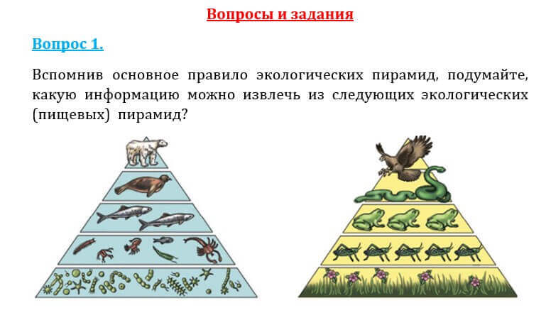 Естествознание Очкур Е. 6 класс 2018 Вопрос 11