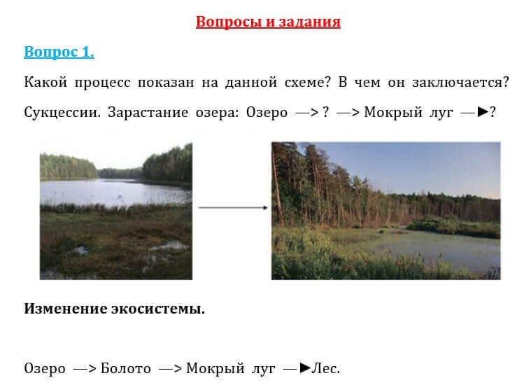 Естествознание Очкур Е. 6 класс 2018 Вопрос 11