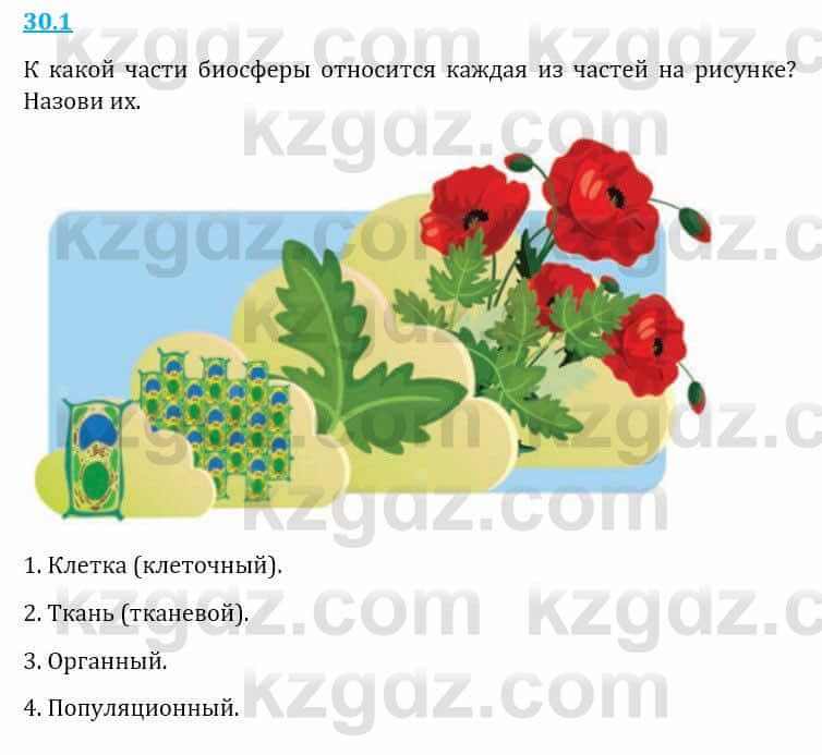 Естествознание Верховцева Л. 5 класс 2019 Вопрос стр.30.11
