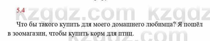 Русский язык и литература Исмагулова Б. 6 класс 2018 Упражнение 41