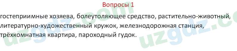Русский язык Казакова Р. 6 класс 2022 Вопрос 11
