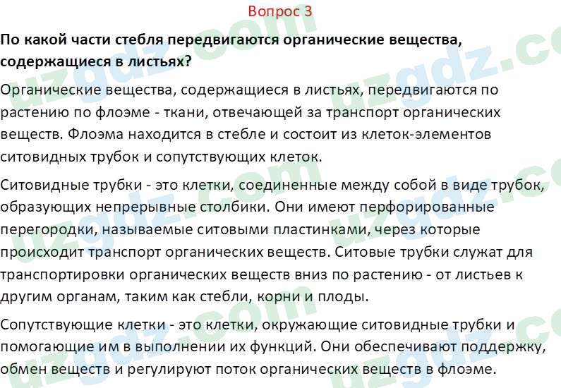 Биология Пратов У. 6 класс 2017 Вопрос 31