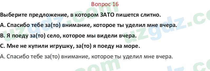 Русский язык Юнусовна Т. О. 7 класс 2022 Вопрос 161