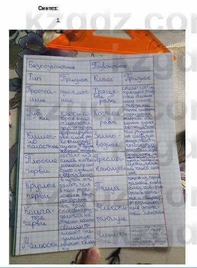 Биология Соловьева 7 класс 2017 Синтез 9.11